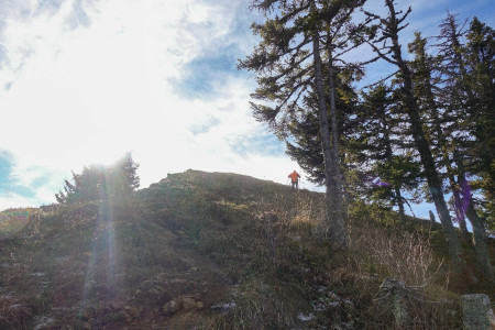 letzte Meter auf den Gipfel
